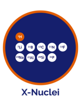 x nuclei